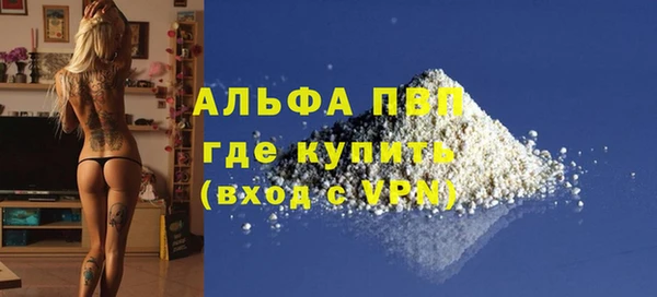 прущие грибы Осинники