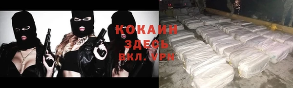 прущие грибы Осинники