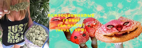 герыч Бикин