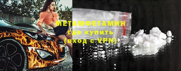 прущие грибы Осинники