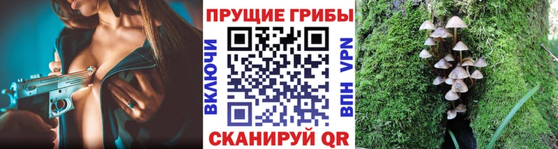 Галлюциногенные грибы Psilocybine cubensis  Рыльск 